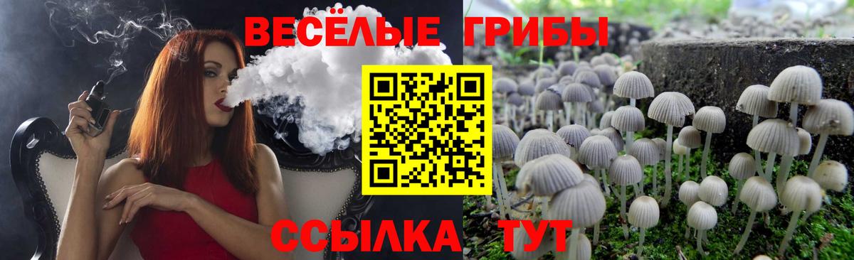 Батайск  Галлюциногенные грибы Psilocybe  Галлюциногенные грибы Psilocybine cubensis  Вход с VPN 